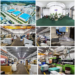 Κίνα Shenzhen Flyon Sports  Co., Ltd. Σχεδιάγραμμα επιχείρησης