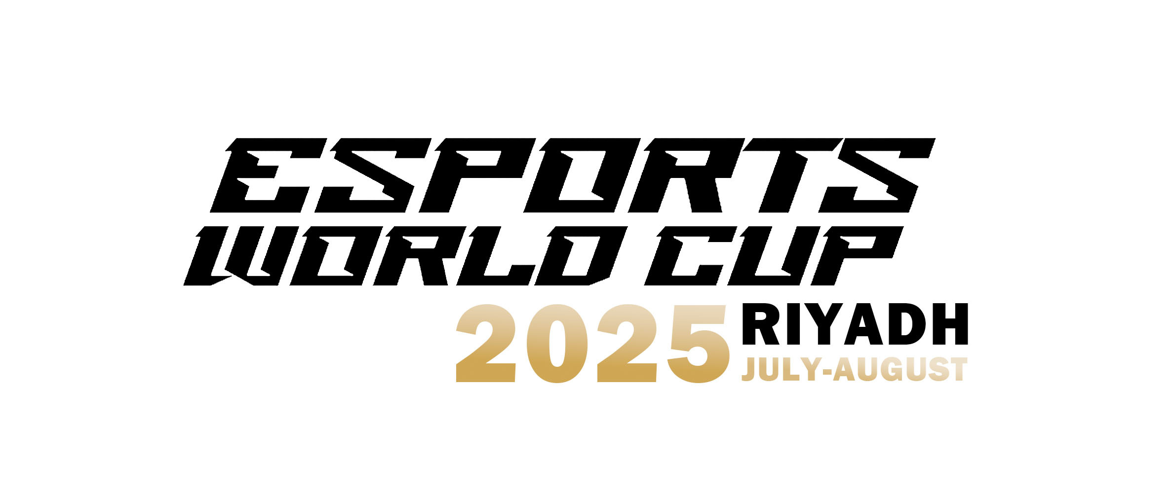 Shenzhen Flyon Sports  Co., Ltd.