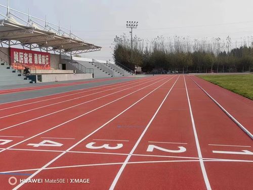Τελευταία εταιρικά blogs για Η διαφορά μεταξύ ελαστικού και πλαστικού τροχού