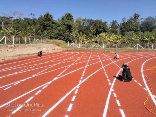 Καλή τιμή Προσαρμοσμένη πίστα αγώνων με αντίσταση φθοράς on-line