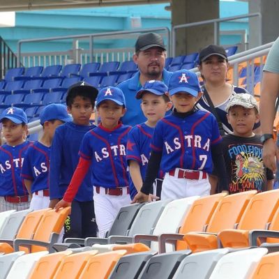 Πλαστική καρέκλα καθισμάτων σταδίου HDPE με χαρακτηριστικά αντιγήρανσης, αντι-UV και πυράντοχα για στάδια και αρένες