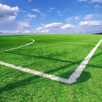 Καλή τιμή Αντι UV χλόης αγωνιστικών χώρων ποδοσφαίρου συνθετικό τεχνητό για το ODM cOem διακοσμήσεων εξωραϊσμού on-line
