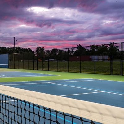 Καλή τιμή Χαλί φορητά 60 X 30ft δικαστηρίου Pickleball Ondoor ρόλων χρωματίζοντας υπηρεσία γραμμών χαλιών ελεύθερη on-line