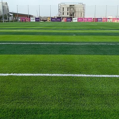 Καλή τιμή Η ομορφιά της αυλής γίνεται εύκολη με συνθετικό τεχνητό γρασίδι από υλικό PE PP on-line