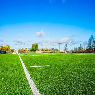 Καλή τιμή 40-60mm Πράσινο τεχνητό γρασίδι 22000 πυκνότητα PP NET Υποστήριξη on-line