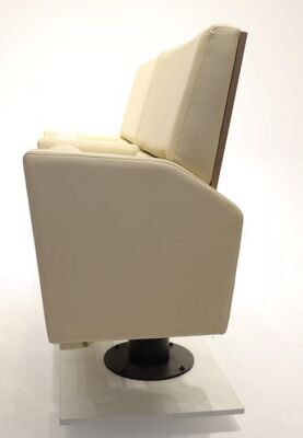 Καλή τιμή Εμπορικά Ανθεκτικά Σύγχρονα Καθίσματα Θεάτρου EN1021 Πυραντίσταση Πλήρως Επενδεδυμένα Για Κινηματογράφους on-line